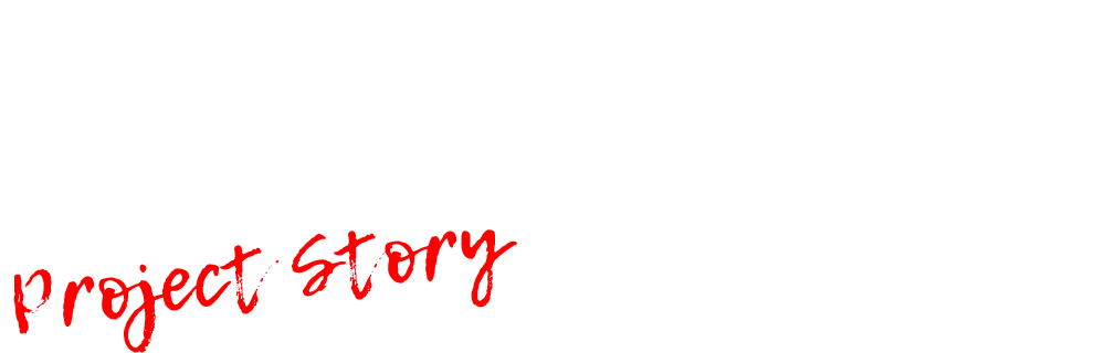 PROJECT STORY